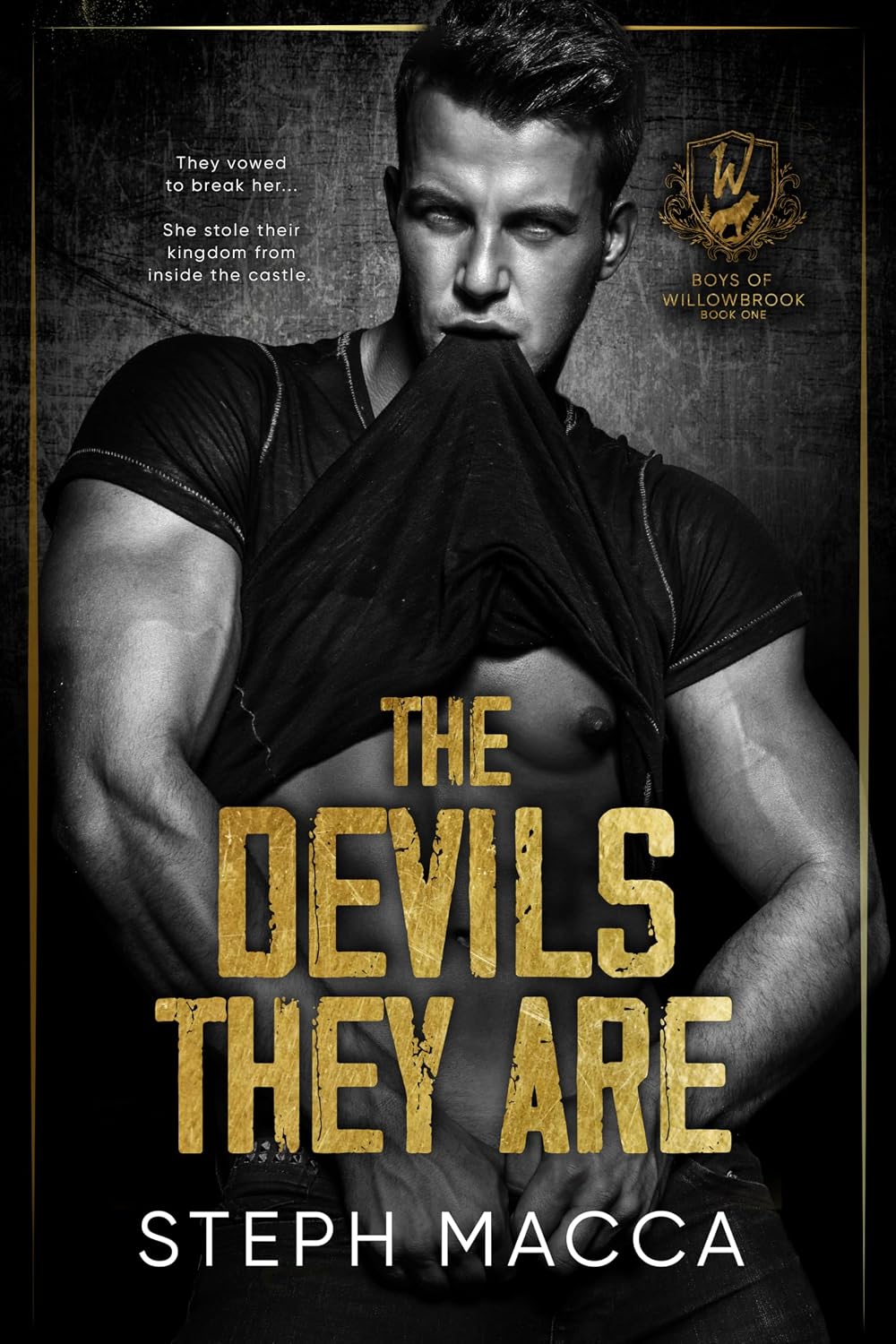 The Devils They Are (Boys of Willowbrook, #1)