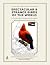 SPECTACULAR & STRANGE BIRDS OF THE WORLD by Inkspire Studio