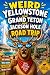 Weird Yellowstone and Grand...