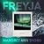 Freyja: A Novel