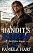 BANDIT’S BLOODLINE: A Dark ...