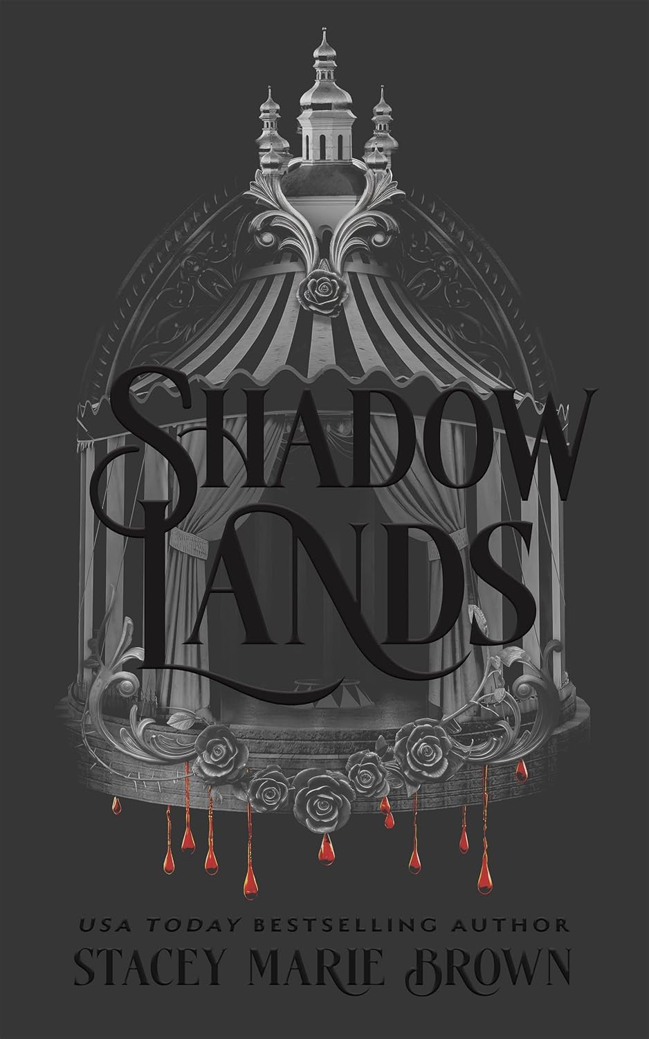 Shadow Lands (The Savage Lands Series Book 6)