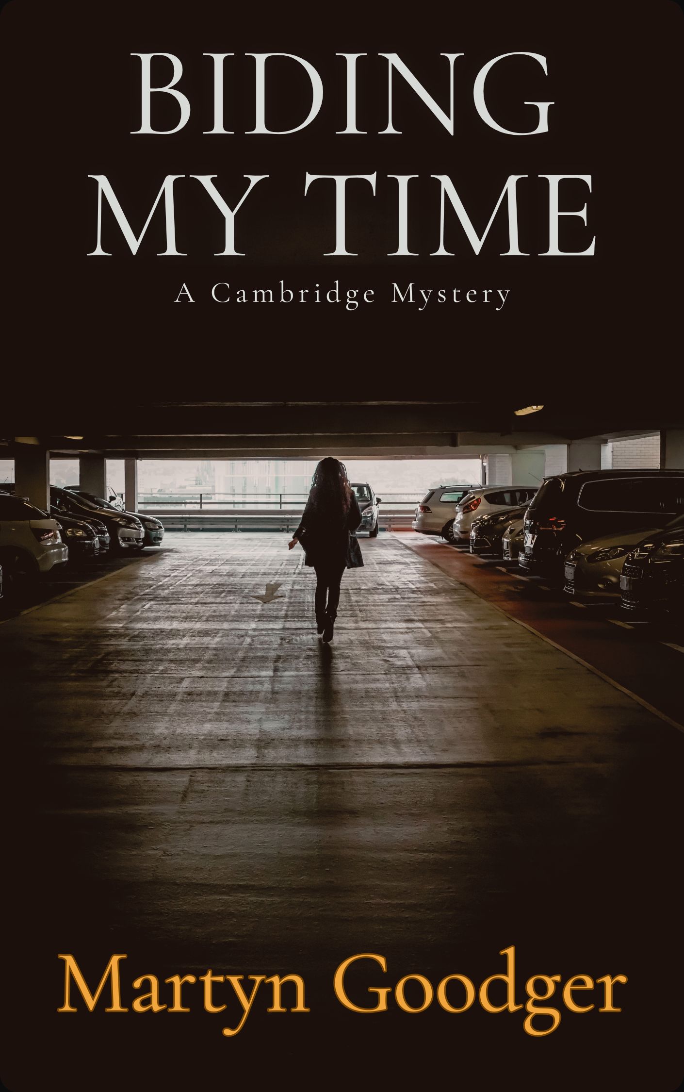Biding My Time: A Cambridge Mystery (Alan Gadd Cambridgeshire Legal Mysteries Book 1)