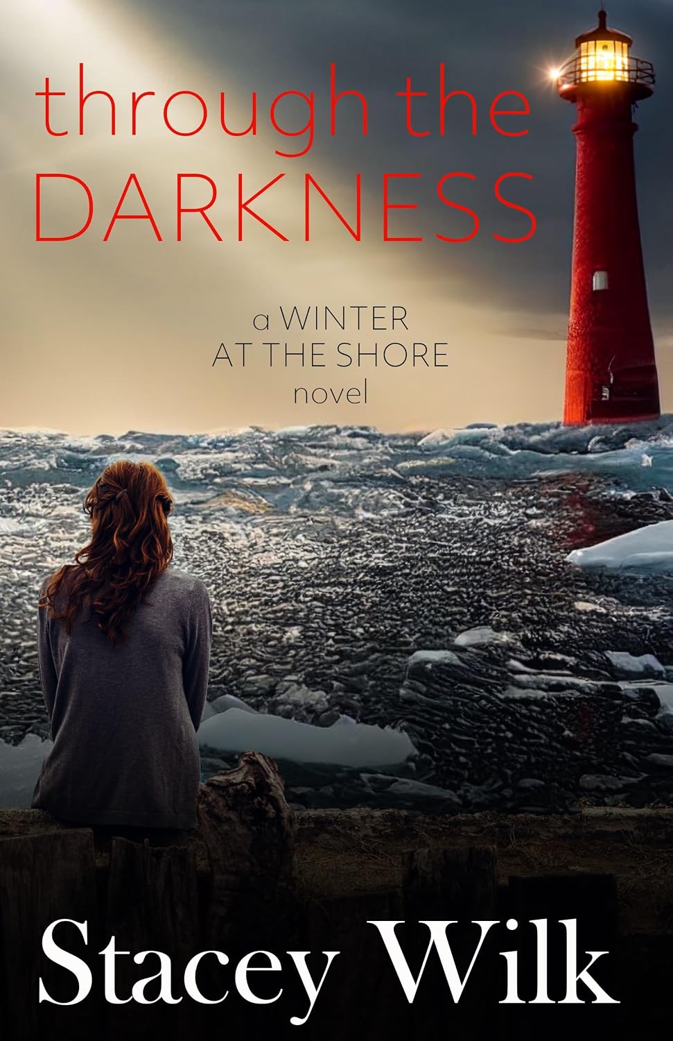 Through the Darkness (Winter at the Shore #2)