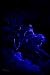 Heaven & Hellhound: The Pag...