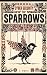 Cyber Security for Sparrows