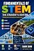 FUNDAMENTALS OF STEM:THE ST...