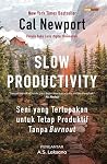 Slow Productivity...