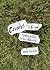 Crumbs of St. Bread: Findin...