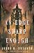 An Edge Sharp Enough: A Novel