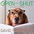 Open and Shut (Andy Carpenter, #1)
