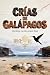 CRÍAS DE GALÁPAGOS