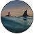 Radical Optimism(spotify) D2c