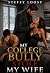 MY COLLEGE BULLY STOLE MY W...