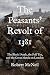 The Peasants’ Revolt of 1381 by Robert McNeil