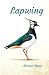 Lapwing