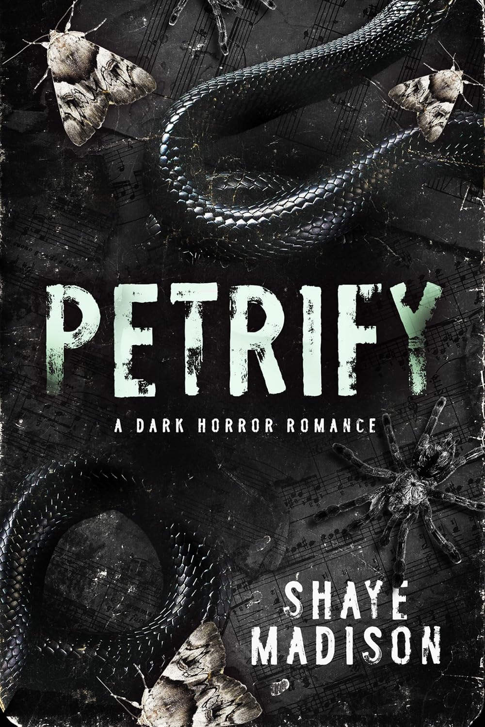 Petrify: A Dark Horror Romance