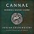 Cannae: Hannibal's Greatest Victory