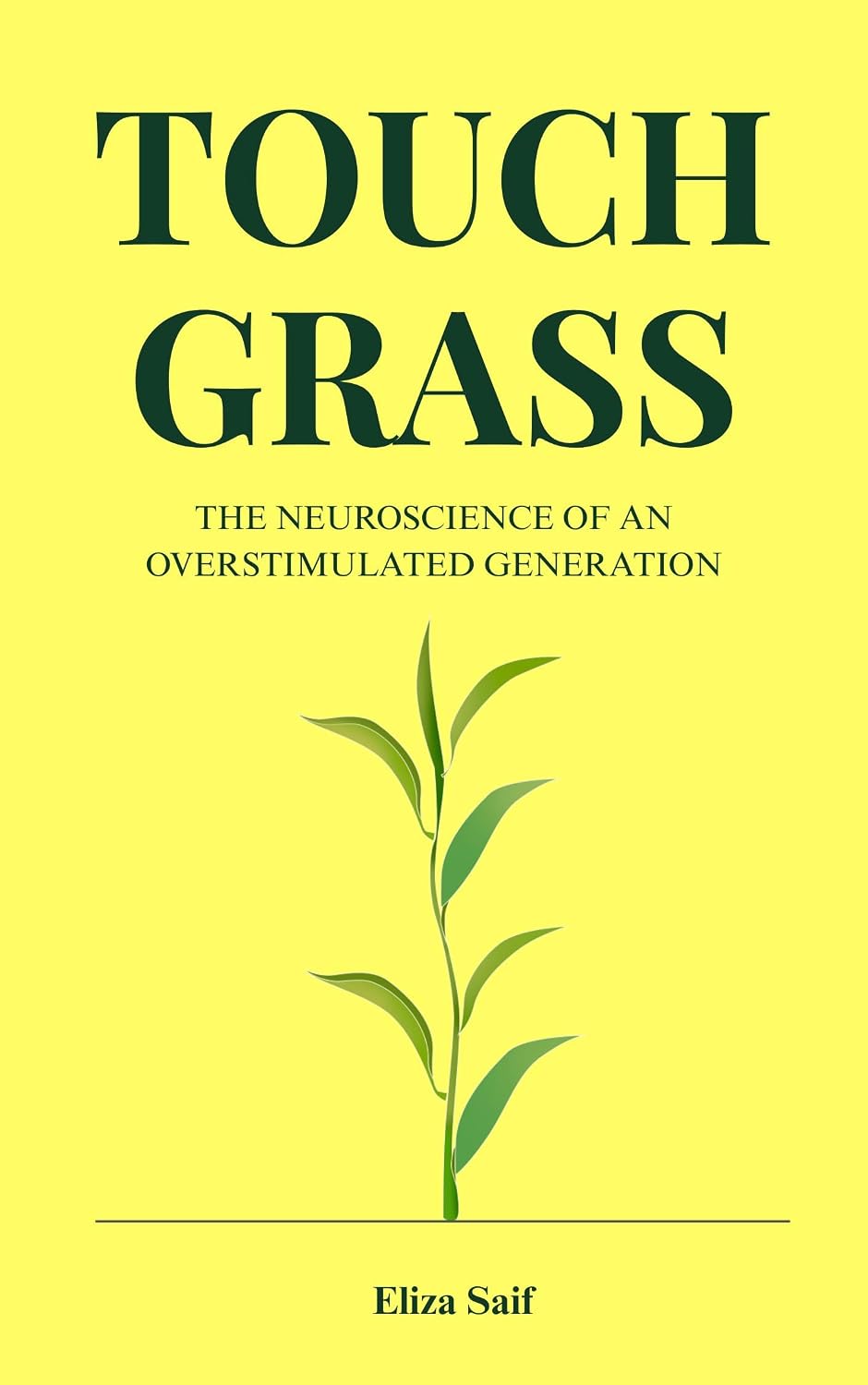 Touch Grass: The Neuroscience of an Overstimulated Generation - A Field Guide to Your Own Mind in the Age of Infinite Scroll