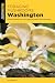 Foraging Mushrooms Washingt...