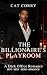 THE BILLIONAIRE'S PLAYROOM:...