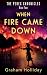 When Fire Came Down