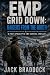 EMP Grid Down: Raiders From...