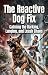 The Reactive Dog Fix by Owen Fletcher