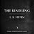 The Kindling by L.K. Steven