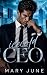 Icecold CEO (os CEOs de Man...