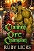 Claimed by the Orc Champion...