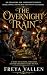 Overnight Train