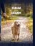 ''CALM ON THE LEASH'': This...