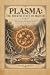 Plasma: The Fourth State of...