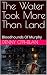 THE WATER TOOK MORE THAN LAND by Denny O’Phelan THE WATER TOOK MORE THAN LAND by Denny O’Phelan