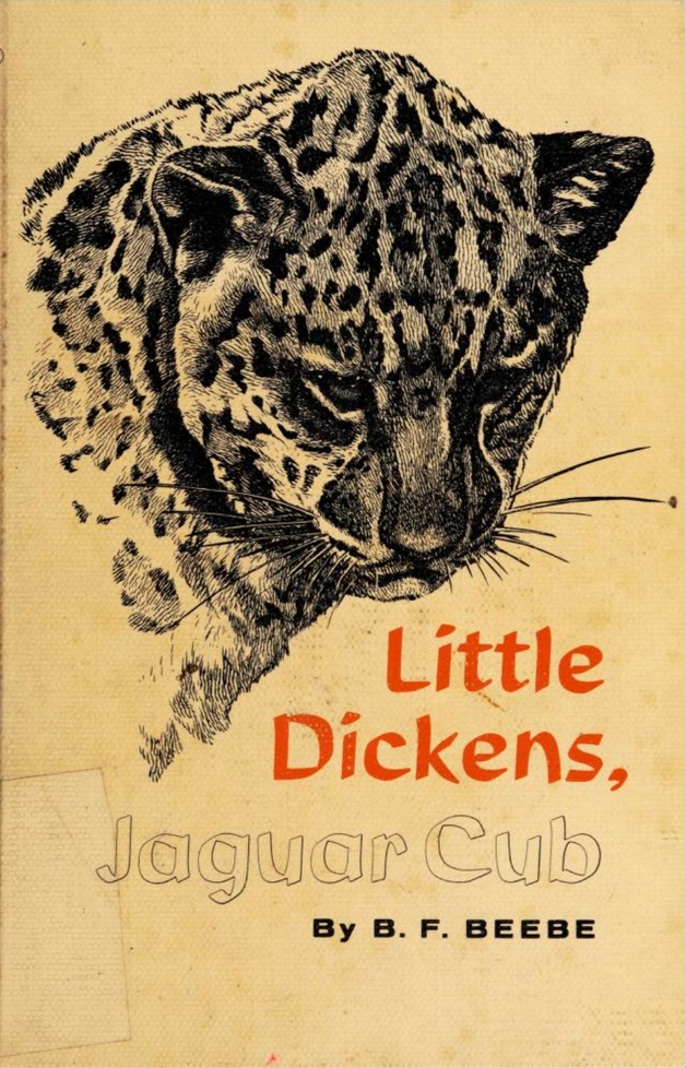 Little Dickens, Jaguar Cub