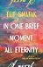 In One Brief Moment All Eternity by Elif Shafak