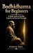 Bodhidharma for Beginners by Andrew Sato