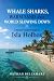 WHALE SHARKS,WARM SAND AND ...