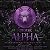 New York Alpha, Folge 16 by C. M. Spoerri