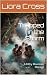 Trapped in the Storm: A Fil...