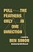 Pull the Feathers Only in One Direction by Ben  Simon