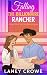Falling for the Billionaire...