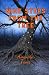 Nine Steps From the Tree by Amanda Tams Nine Steps From the Tree by Amanda Tams