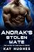 Anorak's Stolen Mate (The M...