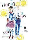 Honey lemon soda 3