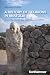 A History of Religions in A...