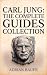 Carl Jung: The Complete Gui...