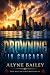 Drowning In Chicago by Alyne Bailey Drowning In Chicago by Alyne Bailey