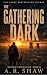 The Gathering Dark (Graham's Resolution Book 12)